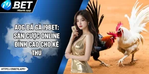 AOG Đá Gà I9BET: Sân Cược Online Đỉnh Cao Cho Kê Thủ