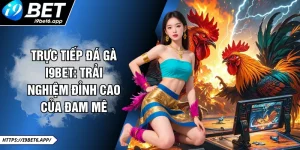 Trực Tiếp Đá Gà I9BET: Trải Nghiệm Đỉnh Cao Của Đam Mê